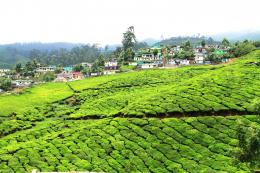 Munnar